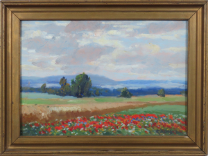 Krajina s červenýmim makmi