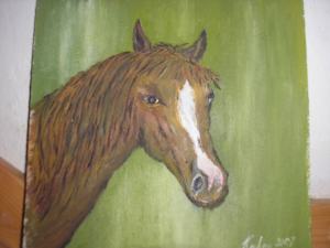 Portrét koňa