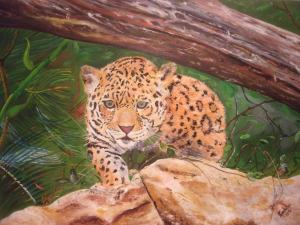 Leopard na love