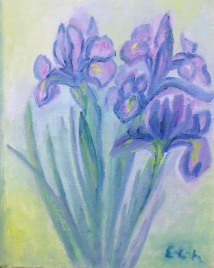 Irisy v modrom