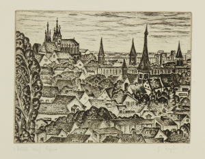 Blick auf Erfurt