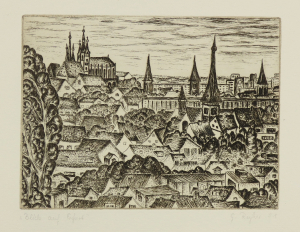 Blick auf Erfurt