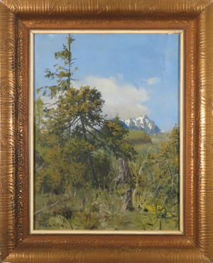 Tatranská krajina