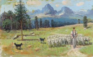 Bača s ovcami