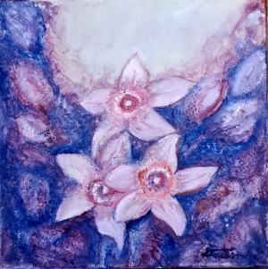 Narcisy ružovo-modrý obraz