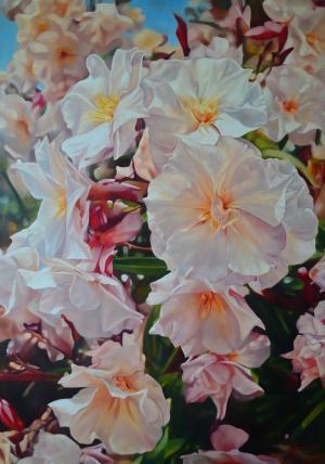 Kvitnúci oleander