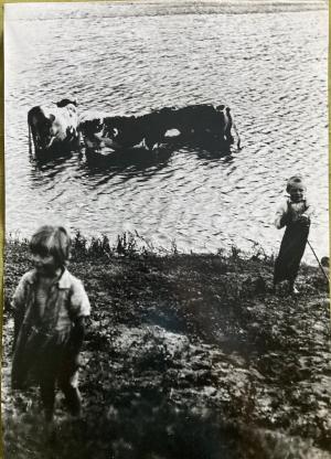 Irena Blühová - Najmladší pastier kráv