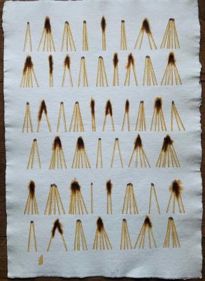 Vyhasínanie do svetla