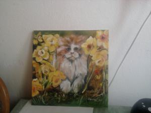 Larysa Hanchak - Mačka v kvetoch