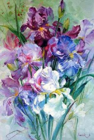 Anna Homchik - Irisy