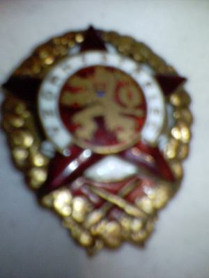 Odcenenie: "Vzorny strelec,,