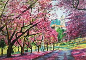 Purgat - Jacaranda trees and union building Pretoria, South Africa