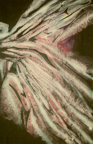 Lucia Fabová - EURAZIA