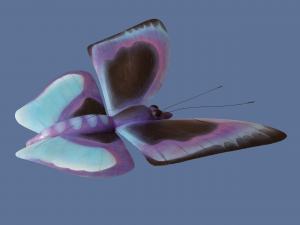 Igor Forus - Butterfly - socha