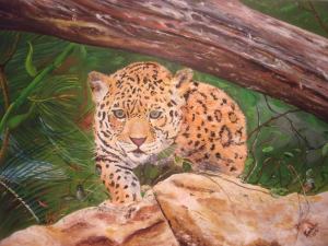 Dušan Kochan - Leopard na love